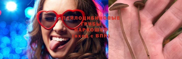 стаф Тихорецк