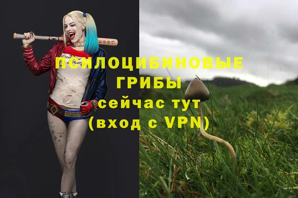 COCAINE Горнозаводск